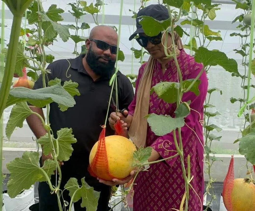 ކާށިދޫގައި ޕަބްލިކް-ޕްރައިވެޓް ޕާޓްނަރޝިޕް މޮޑެލްގެ ދަށުން ވިޔަފާރި އުސޫލުން ދަނޑުވެރިކަން ކުރުމުގެ ފުރުސަތު ހުޅުވާލައިފި 