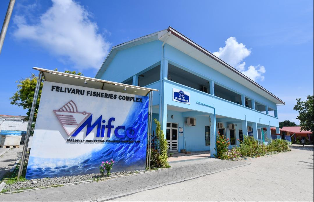 ފެލިވަރު ކޯލްޑް ސްޓޯރޭޖް މިއަހަރުގެ މެދުތެރޭ ނިމި ބޭނުންކުރަން ފެށޭނެ: މިފްކޯ އެމްޑީ