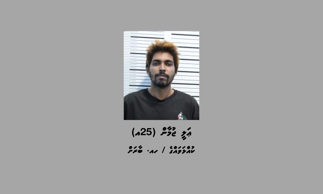 "ޑެތު" ހައްޔަރުކޮށްފި