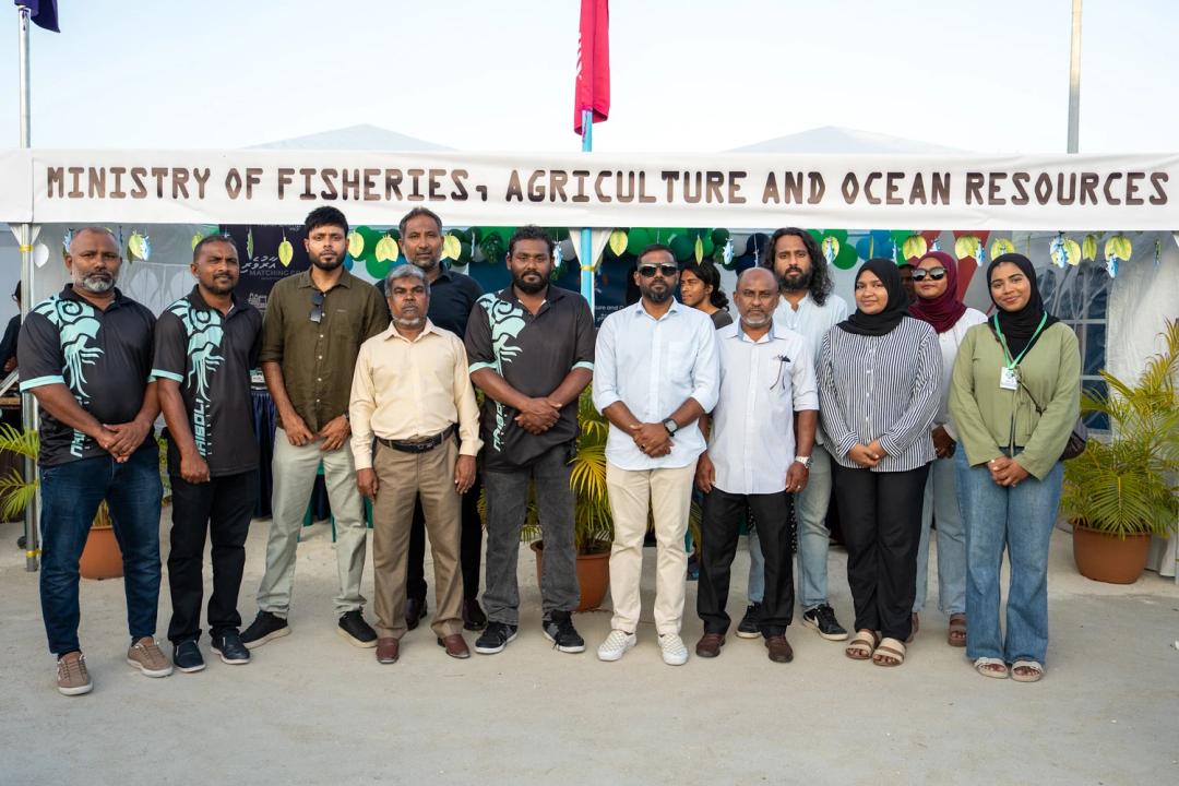 ނައިބޮލި ބިޒްނަސް އެކްސްޕޯ ކުރިއަށް
