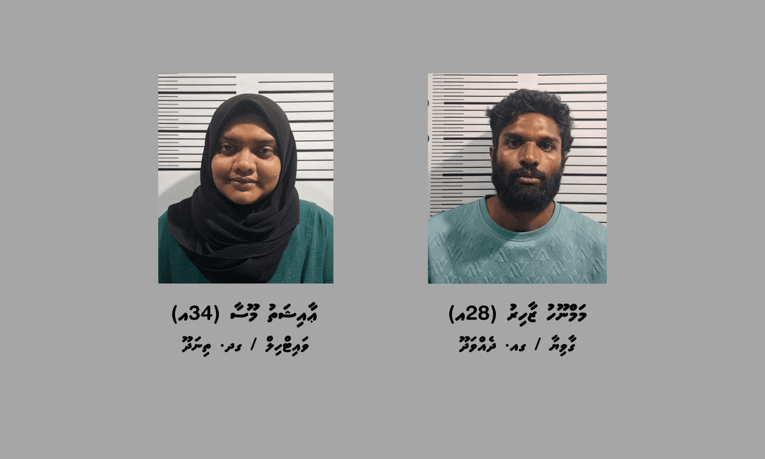 ދެއްވަދުއަށް މަސްތުވާތަކެތި އެތެރެކުރަން އުޅުނުކަމުގެ ތުހުމަތުގައި ދެ މީހަކު ހައްޔަރުކޮށްފި