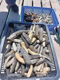 ތިލަފުށީގެ ގުދަނެއްގައި ހުރި ދެ މިލިއަން ރުފިޔާގެ ހުއިފިލަނޑާތަކެއް ވަގަށް ނެގި މައްސަލައެއް ބަލަން ފަށައިފި