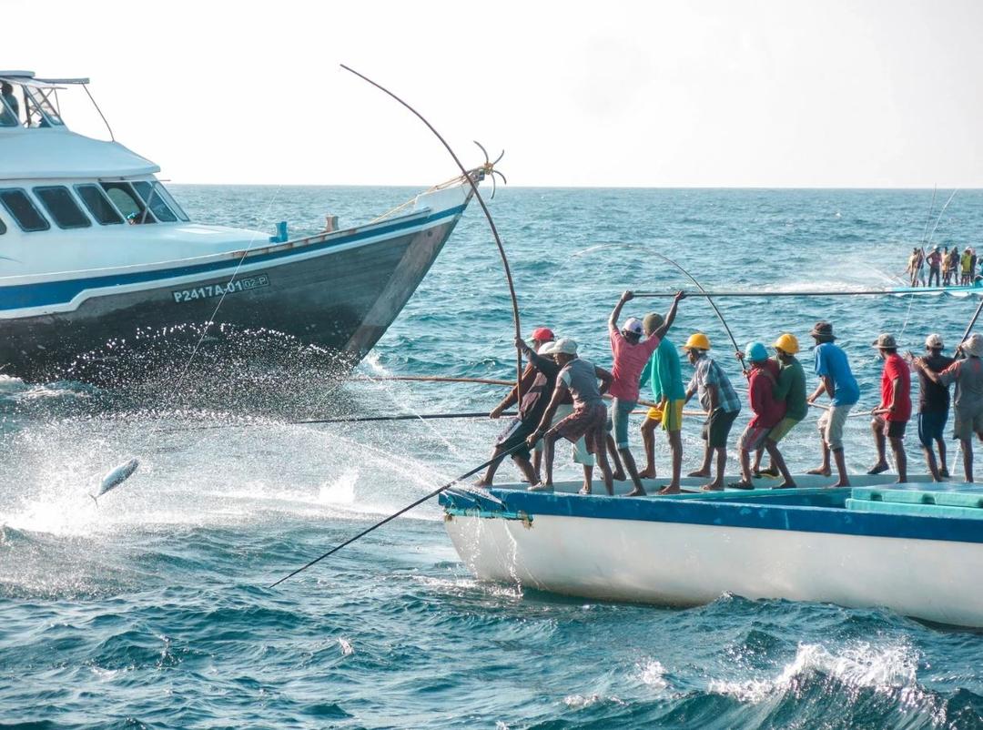 ބޮޑު ކަންނެލީގެ މަސްވެރިކަން ކުރާ ދޯނިތަކަށް ސަބްސިޑީ ދޭން ނިންމައިފި