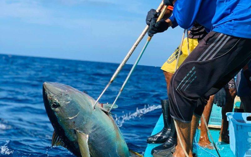 އާރްއެސްޑަބްލިއު ސިސްޓަމް ޤާއިމްކުރުމަށް 51 މިލިޔަން ރުފިޔާގެ ލޯނު ދޫކޮށްފި