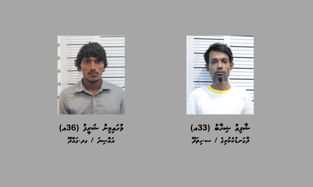 ސްކޭމްގެ މައްސަލައަކާއި ގުޅިގެން ދެމީހަކު ހޯދަނީ