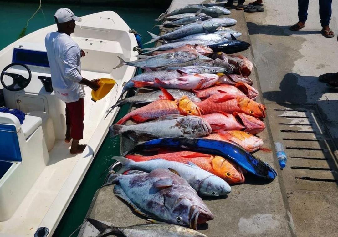 ރާއްޖޭގެ ކަނޑުމަހުގެ މަސްވެރިކަމަށް ޚާއްޞަ ރޭޓިންގްއެއް ކަނޑައަޅައިފި