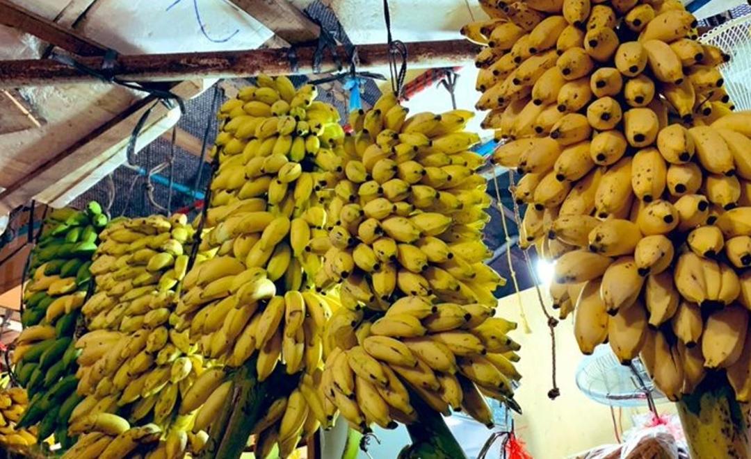 ވައިކަރަދޫ ދަނޑުވެރިންގެ އުފެއްދުންތައް އުފުލުމަށް ހާއްސަ ފެރީއެއް ހަމަޖައްސައިފި