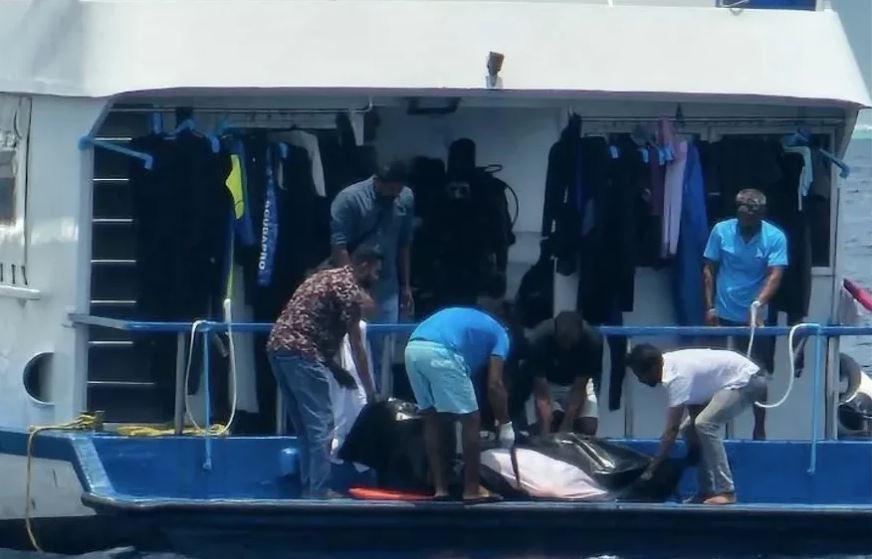 ދޯންޏެއްގެ ބުރަފަތީގައި ޖެހި، ފަތުރުވެރިއަކު މަރުވެއްޖެ