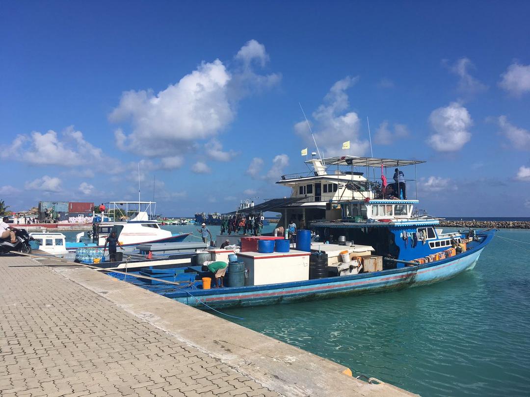 މަސްދޯނިތަކަށް މާދަމާއިން ފެށިގެން އެސްޓީއޯ ޝެޑް ރޭޓުގައި ތެޔޮ ލިބޭނެ