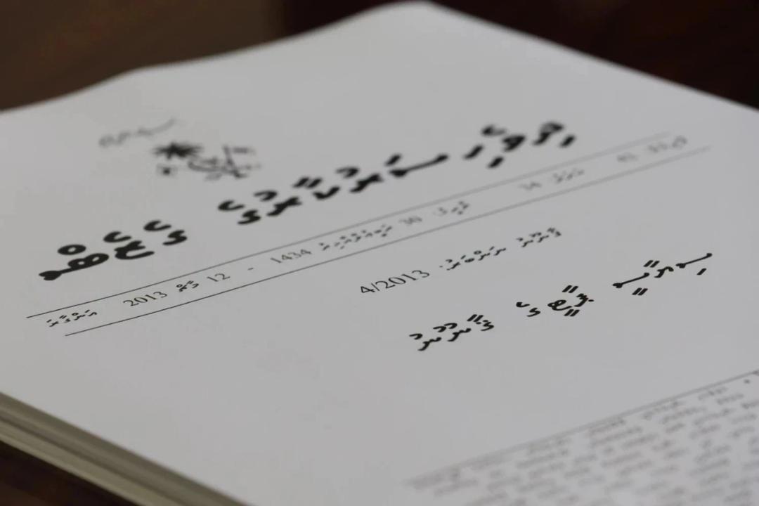 ޤާނޫނުތަކާ އެއްގޮތްވާ ގޮތުގެމަތިން ސިޔާސީ ހަރަކާތްތައް ހިންގުމަށް ދެ ޕާޓީއަކަށް އިލްތިމާސްކޮށްފި