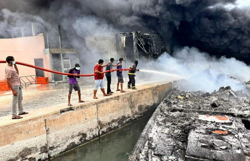 ފީއަލީގައި ތެޔޮ ބޯޓުގައި ރޯވި އަލިފާން ނިއްވާލައިފި