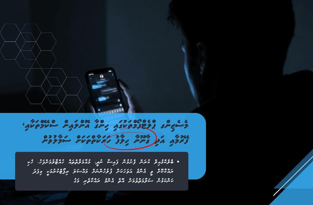 އޮންލައިން ސްކޭމްތަކާއި ގާނޫނާ ހިލާފު ހަރަކާތްތަކަށް ސަމާލުވުމަށް އިލްތިމާސްކޮށްފި
