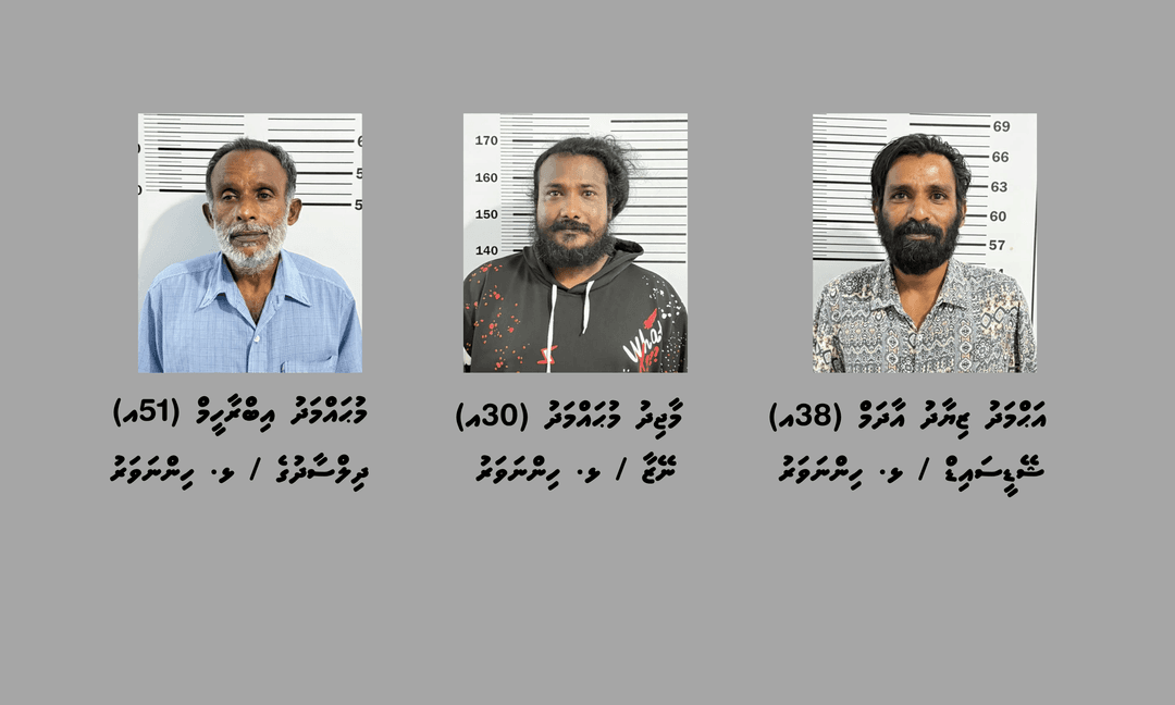 ހިންނަވަރުގައި މަސްތުވާތަކެތީގެ ވިޔަފާރިކުރާ ކަމުގެ ތުހުމަތުގައި ބަޔަކު ހައްޔަރު ކޮށްފި