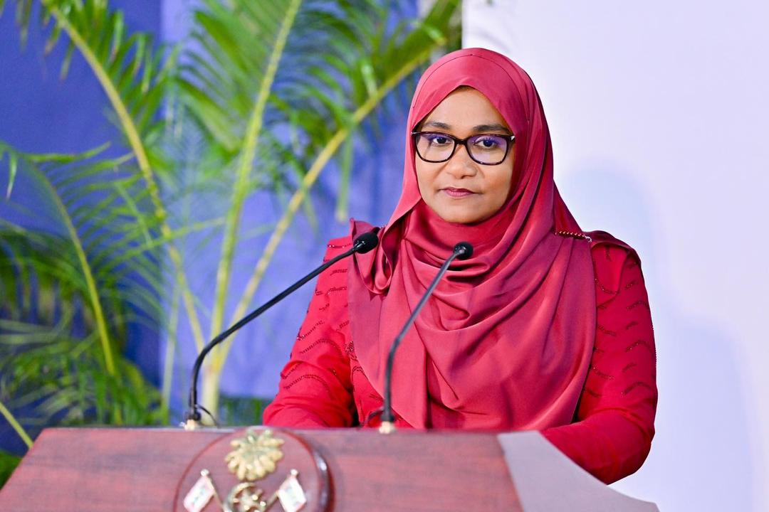 ޒިންމާދާރު ނޫސްވެރިކަމަށް ބާރުދޭ މާހައުލެއް ގާއިމުކުރުމަކީ މުހިންމު ކަމެއް: ފަސްޓް ލޭޑީ