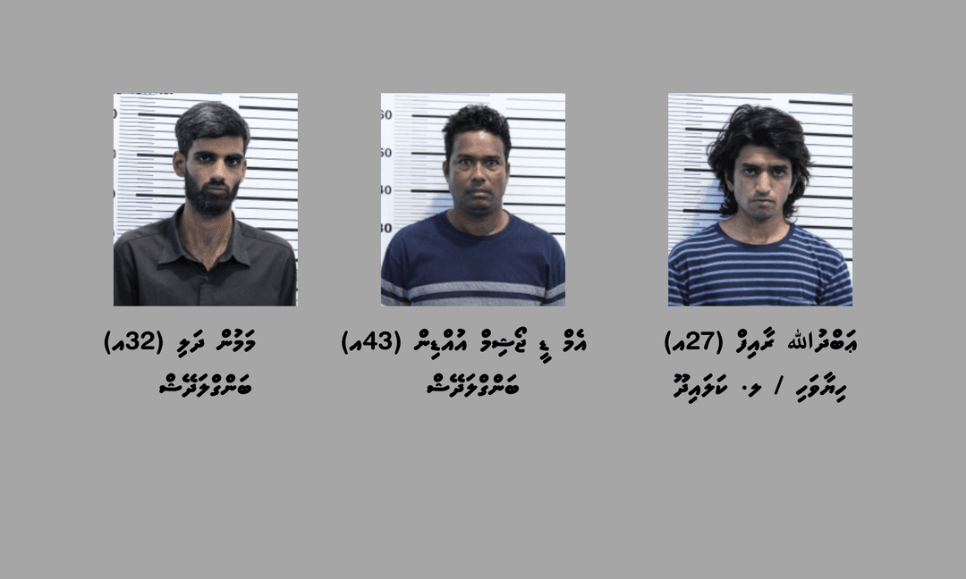 21 ކިލޯއަށް ވުރެ ގިނަ މަސްތުވާތަކެއްޗާއެކު ތިން މީހަކު ހައްޔަރުކޮށްފި