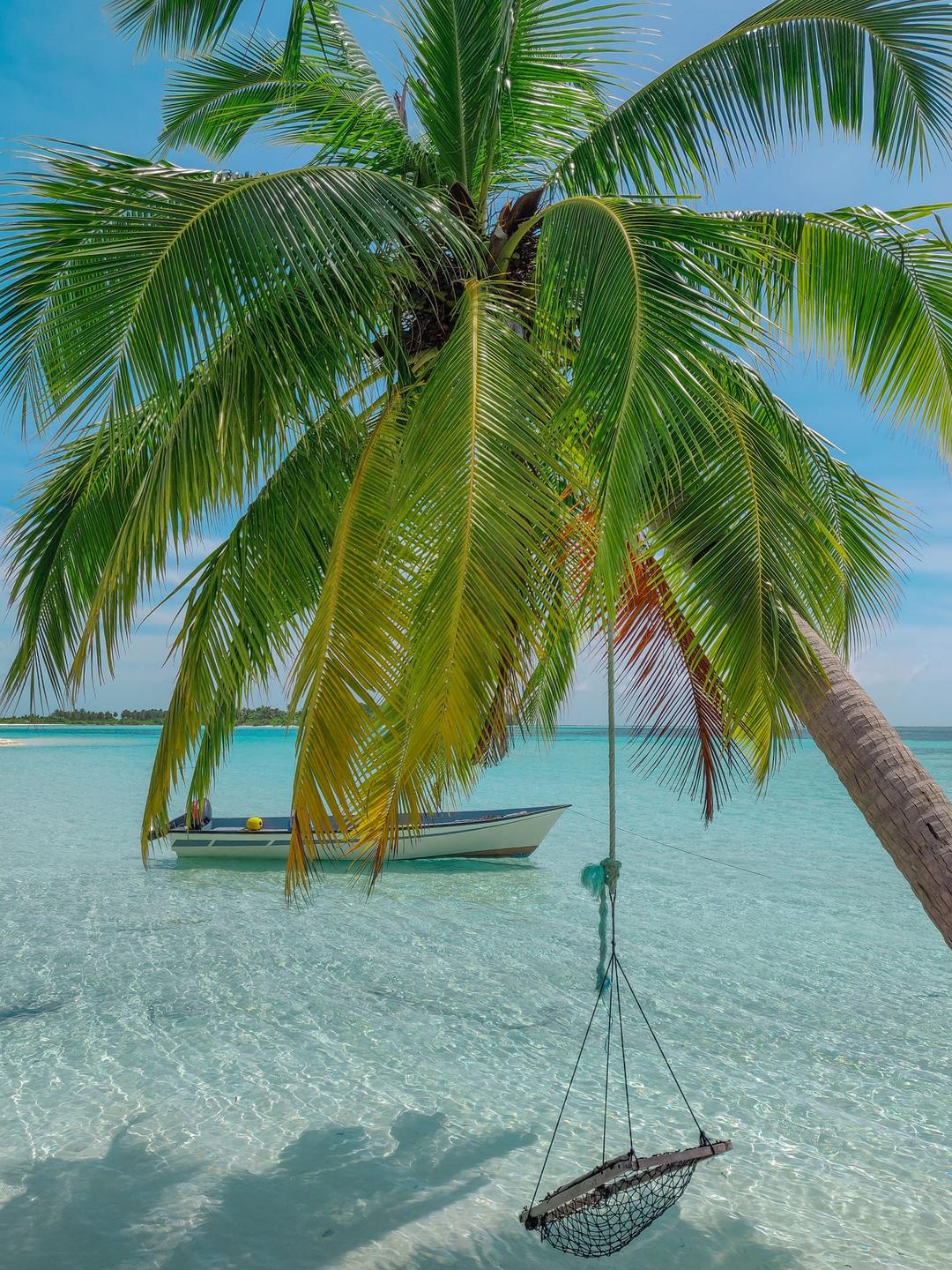 ޗާލު ދިވެހިރާއްޖެ އެވޯޑަށް 50 ރަށަކުން ކުރިމަތި ލައިފި
