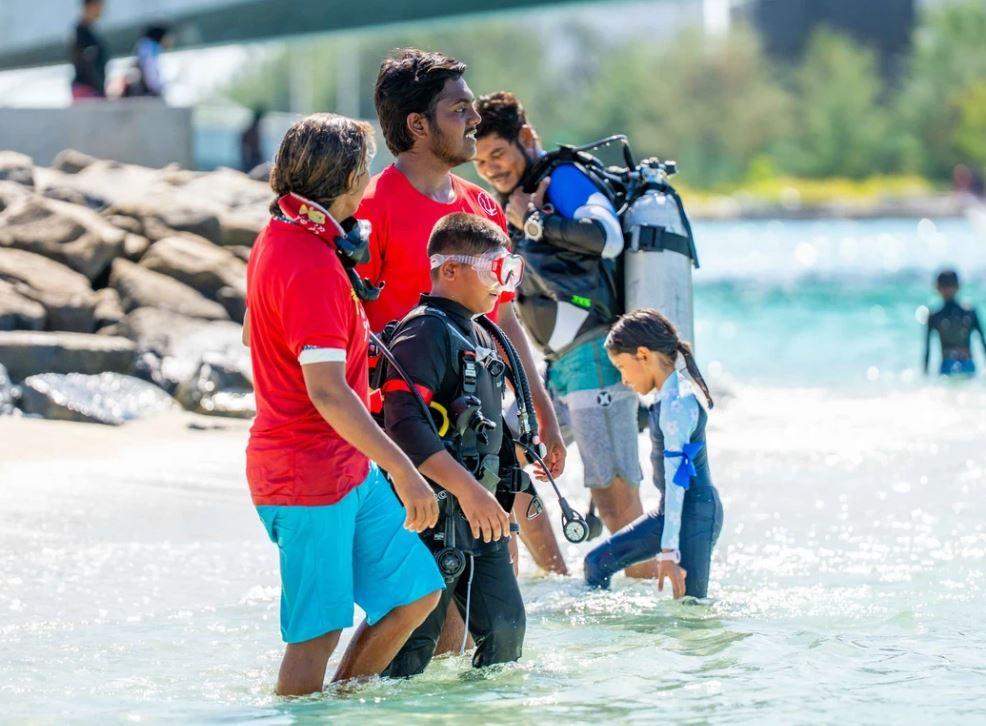ޑިސްކަވަރ ބަބުލް ފީނުމުގެ ހަރަކާތުގައި ބައިވެރިވުމަށް ހުުވާލައިފި