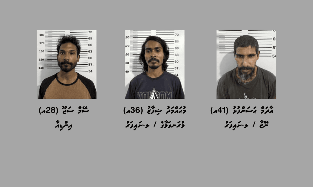 މަސްތުވާތަކެތީގެ މައްސަލައެއްގައި ނައިފަރުން ތިން މީހުން ހައްޔަރުކޮށްފި