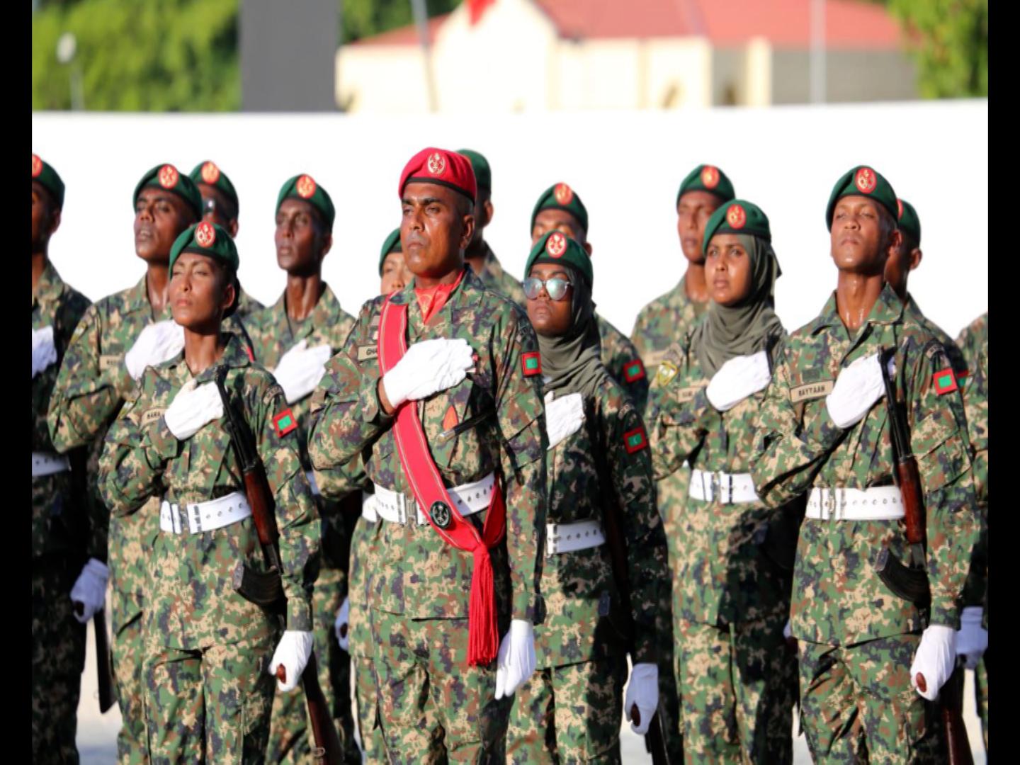 ރިޕޯޓް: ވަތަނީ ޚިދުމަތް: ޤައުމީ ތަރައްޤީއާއި އުޖާލާ މުސްތަޤްބަލެއްގެ ބިންގާ