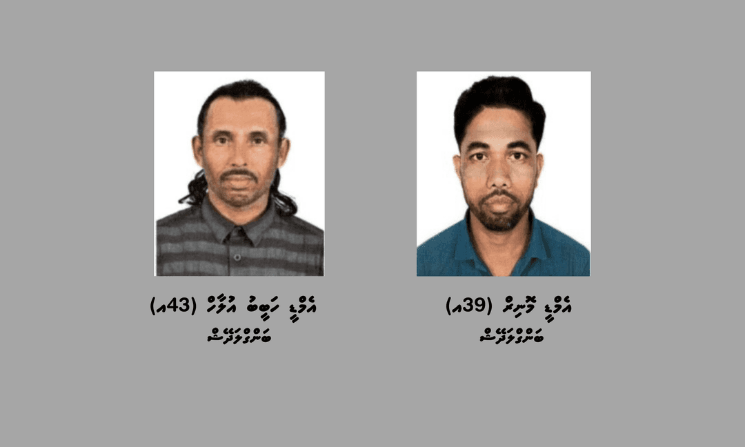 ގަވާއިދާ ހިލާފަށް ހުޅުމާލޭގެ އެކިސަރަހައްދުތަކުން ކުނި ނަގަމުންދިޔަ ދެ ބިދޭސީއަކު ހައްޔަރުކޮށްފި