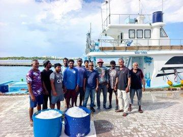 ކަނޑުއޮތްގިރިން މަސްވެރިންނަށް އައިސް ވިއްކަން ފަށައިފި