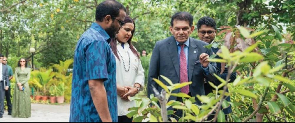 ބަންގްލަދޭޝްއިން ރާއްޖެއަށް 20،000 ގަސް ހަދިޔާކޮށްފި