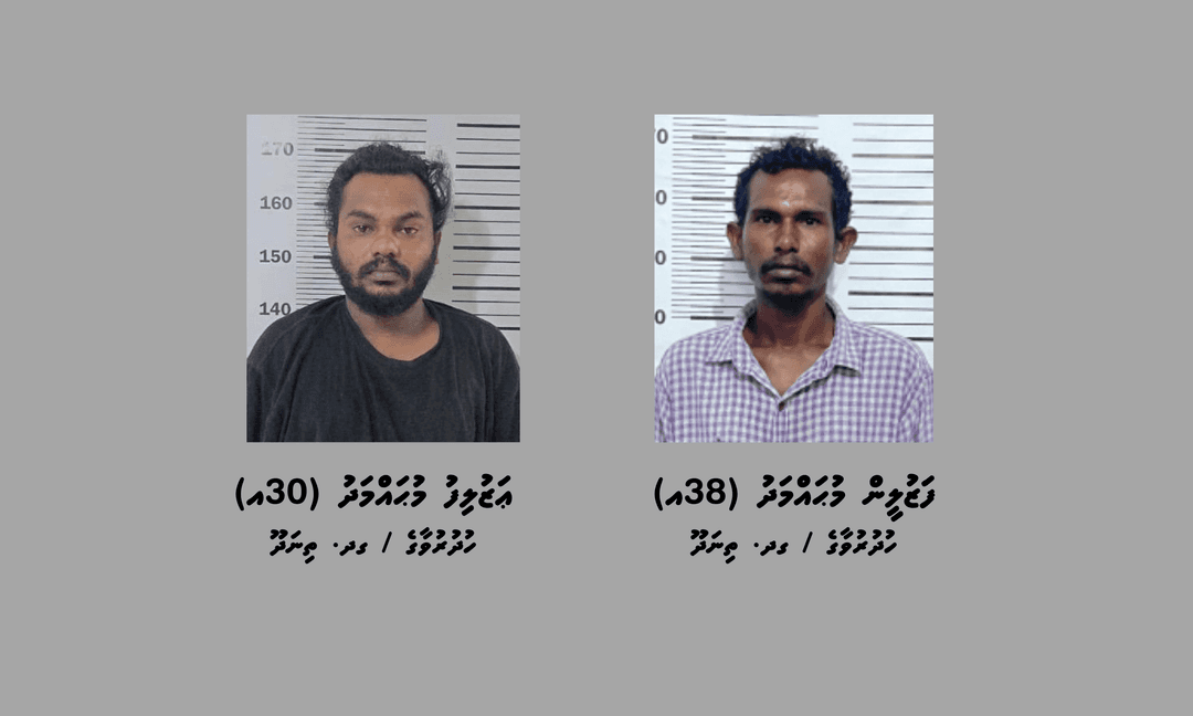 ތިނަދޫ ސިޓީގައި ހިންގި މަސްތުވާތަކެތީގެ އޮޕަރޭޝަނެއްގައި ދެ މީހުން ހައްޔަރުކޮށްފި