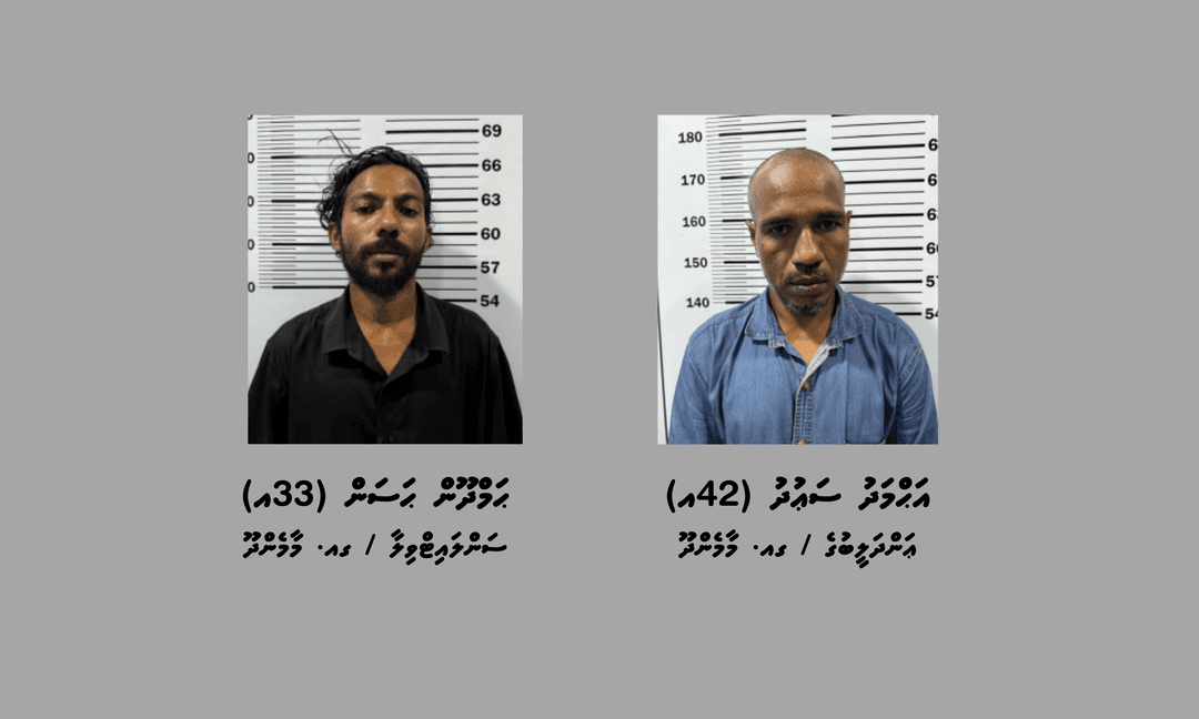 60،000 އަށްވުރެ ގިނަ ރުފިޔާގެ އަގުހުރި ތަކެތި ވަގަށްނެގިކަމުގެ ތުހުމަތުގައި ދެ މީހުން ހައްޔަރުކޮށްފި