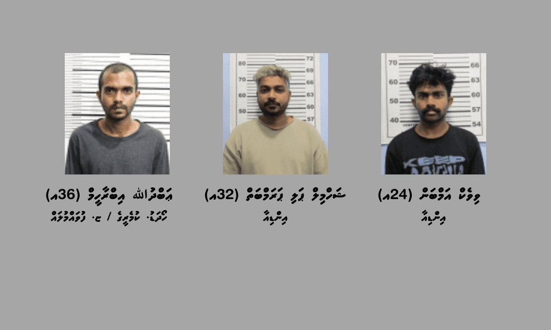 ވައިގެމަގުން ރާއްޖެއަށް ތިންކިލޯ އަށްވުރެ ގިނަ މަސްތުވާތަކެތި އެތެރެކުރިކަމުގެ ތުހުމަތުގައި ތިން މީހުން ހައްޔަރުކޮށްފި