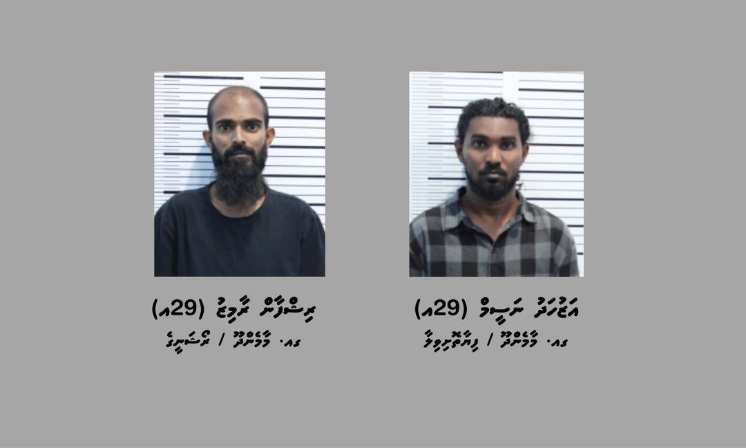 17 ކިލޯގެ މަސްތުވާތަކެއްޗާ އެކު ދެ މީހަކު ހައްޔަރަށް