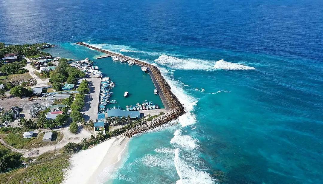 ޑައިވިނަށް ފޭބި ފަތުރުވެރިއަކު ކަނޑުއަޑީގައި ހަރަކާތް ހުސްވެފަ އޮއްވާ ފެނިއްޖެ